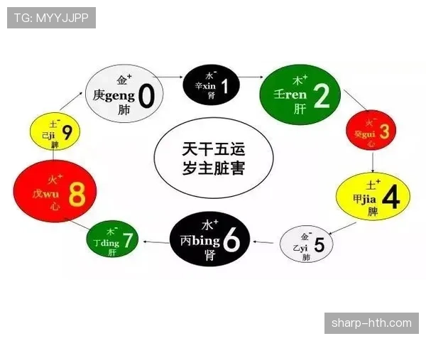 赛前准备流程大揭秘：Rodri状态回升，冠军之路的秘密武器曝光