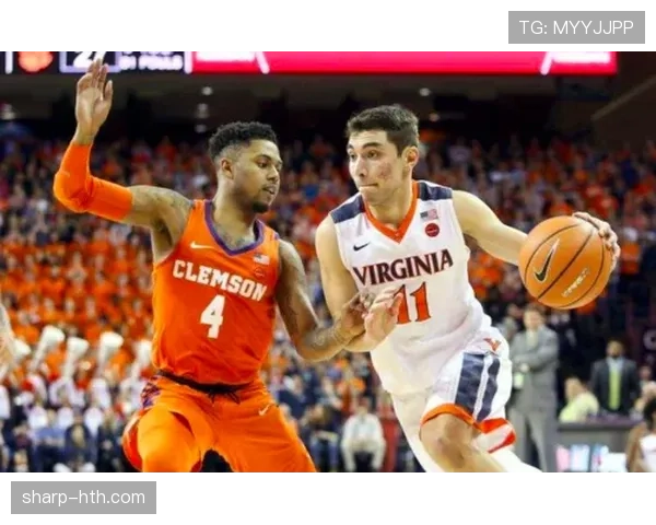 斯图加特青训崛起，新星闪耀成球队未来核心