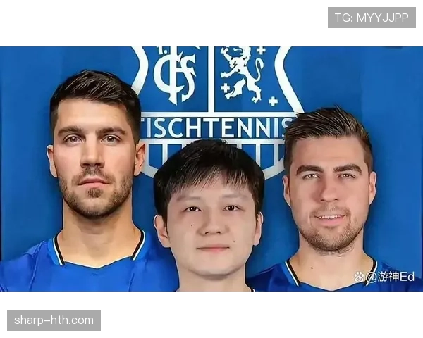 德甲冬季转会窗口：多名新星加盟，球队阵容显著提升